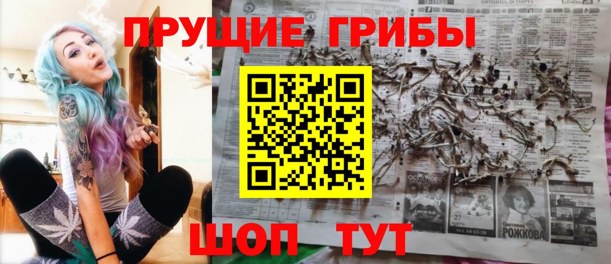 Крымск  Псилоцибиновые грибы мухоморы  Вход с VPN 